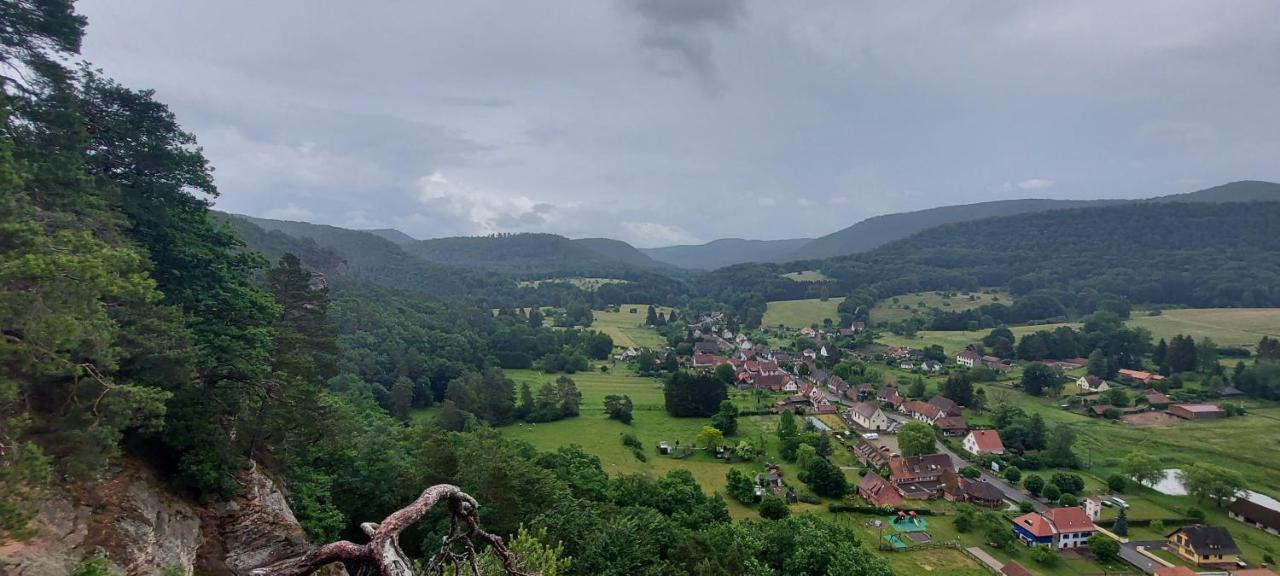 Au Wachtfels Bed & Breakfast Obersteinbach ภายนอก รูปภาพ