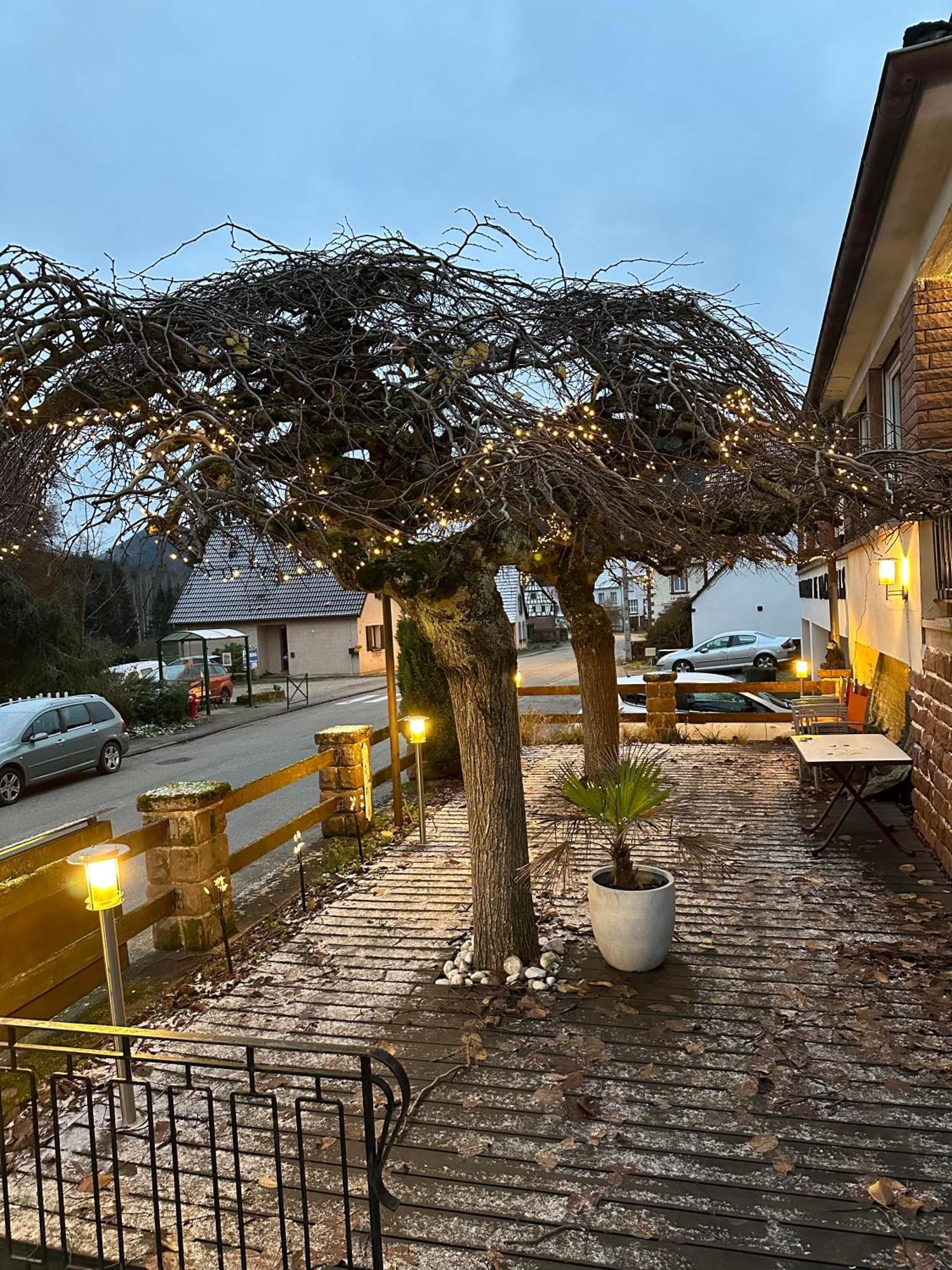 Au Wachtfels Bed & Breakfast Obersteinbach ภายนอก รูปภาพ